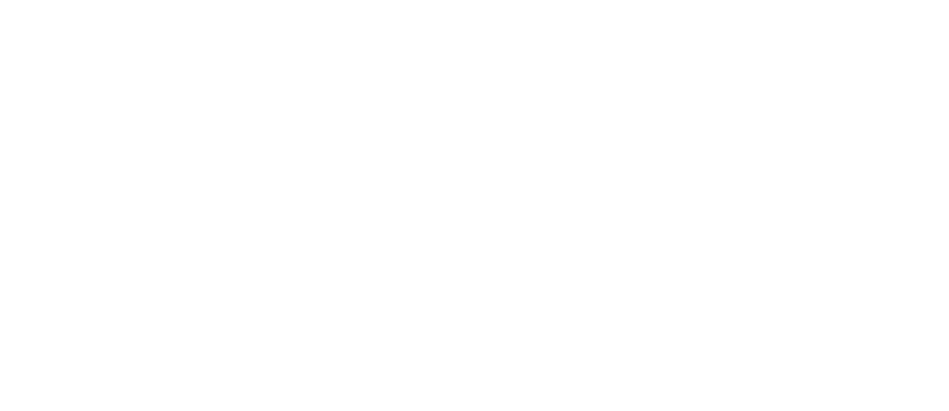 logo-boicot-vbare-blanco